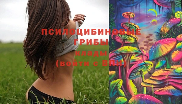 ПСИЛОЦИБИНОВЫЕ ГРИБЫ Баксан