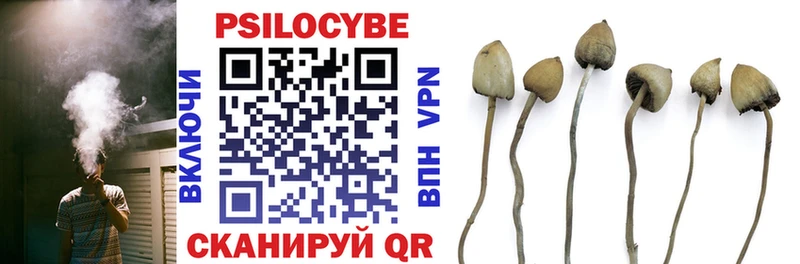 Псилоцибиновые грибы Magic Shrooms Купить Выкса